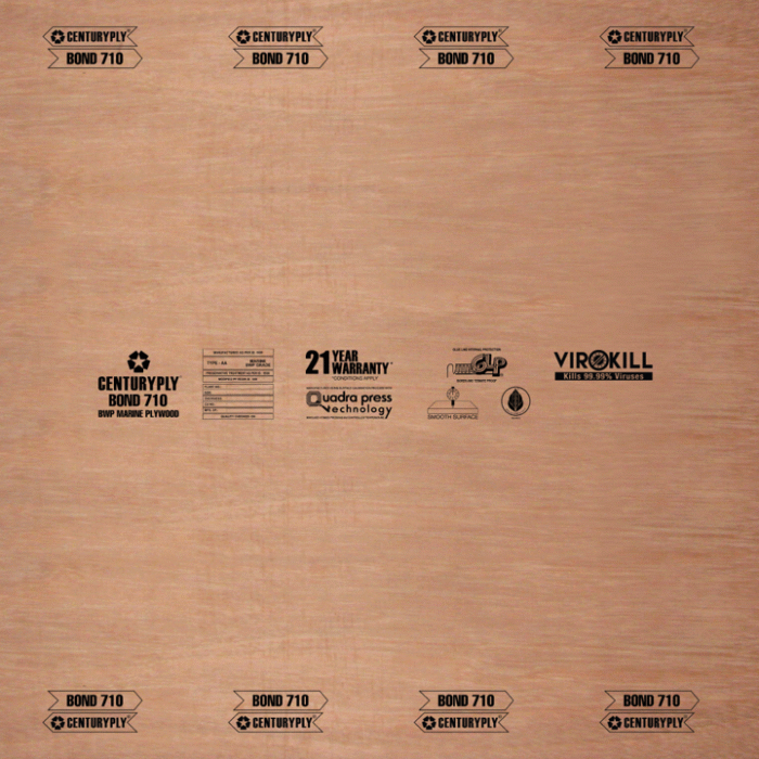 centruy bond 710